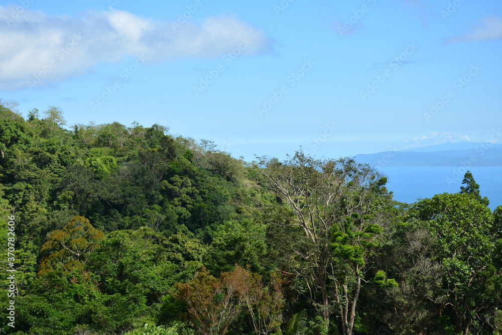 Mountain and trees scenic view during daytime Mountain and trees scenic view during daytime