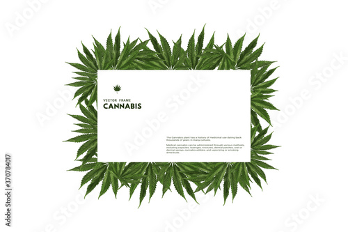 Hemp/cannabis leaf realistic frame, white template for design with copy space, vector illustration