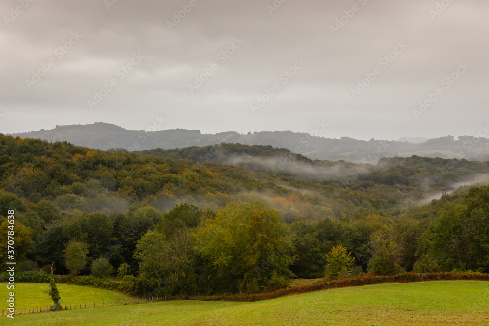 Autumn landscape in the mountains. Green and yellow foliage on autumn forest. Scenic valley and hills. Foggy day in mountains. Meadow and mountains in autumn. Cloudy day in valley. 
