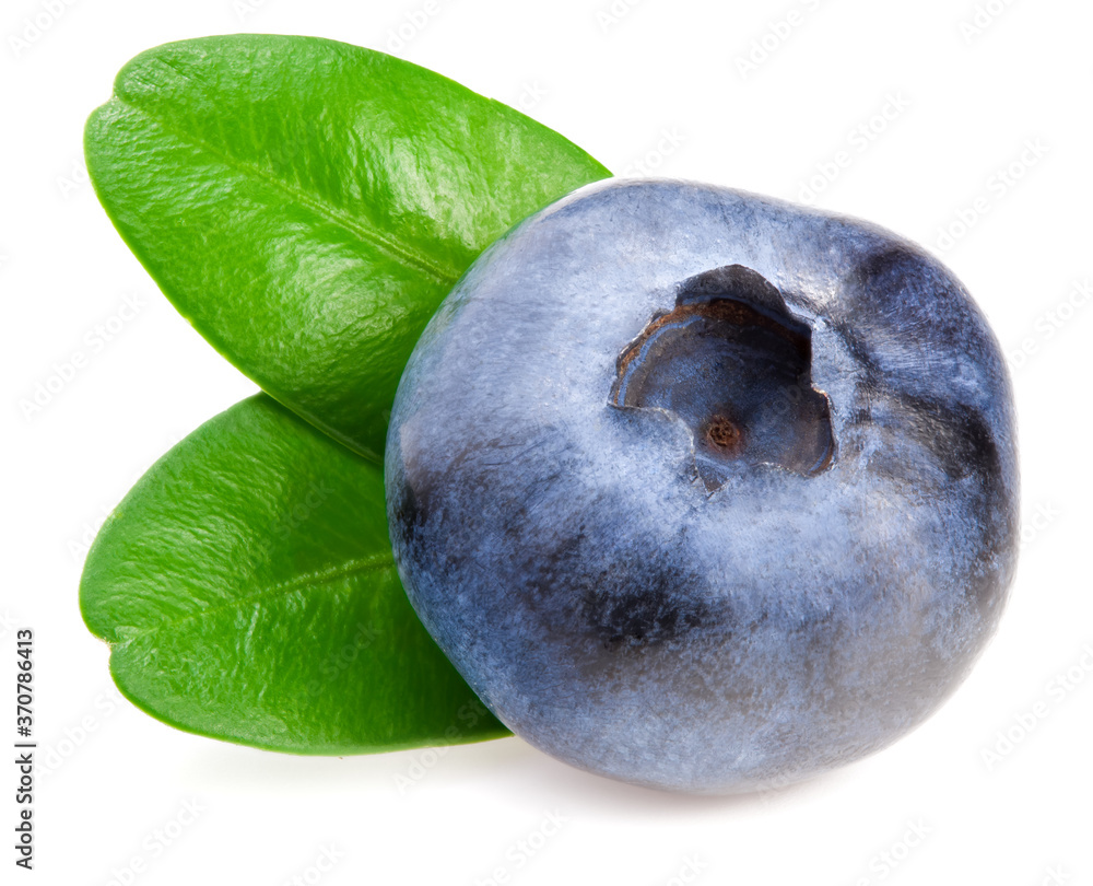 blueberries with leaves isolated on white background blueberries with leaves isolated on white background
