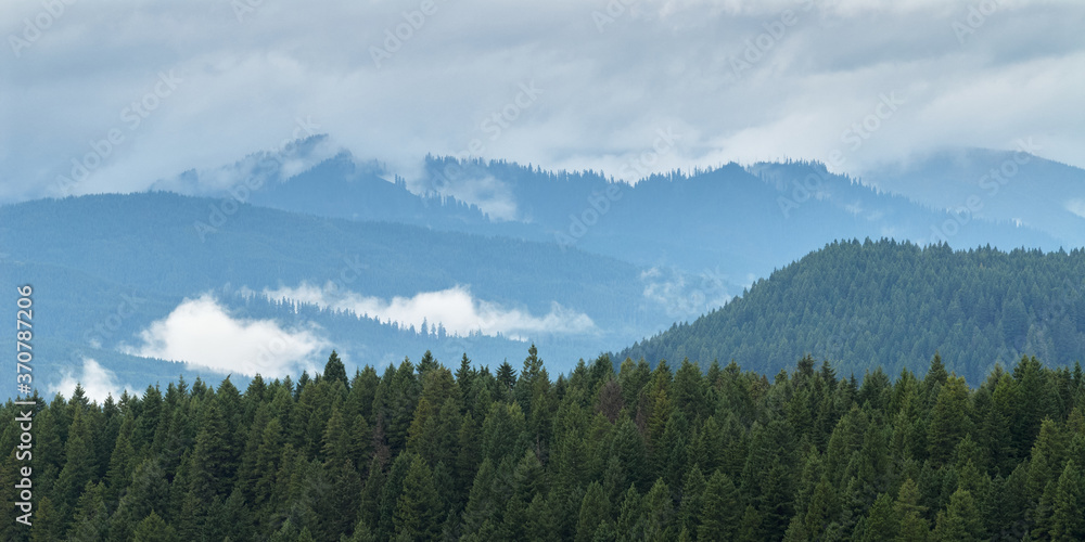 Panoramic view of misty forest mountains near St Helens mountain in Washington state.
