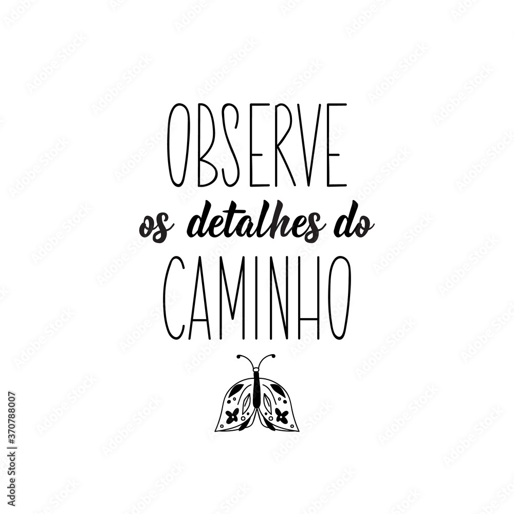 Obraz premium Observe the details of the path in Portuguese. Lettering. Ink illustration. Modern brush calligraphy.