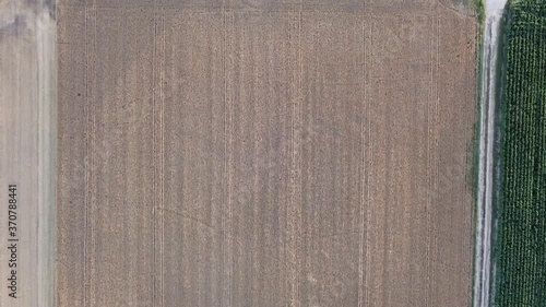 Tractor harvesting the crop - cornfield - Austria - aerial - drone shot