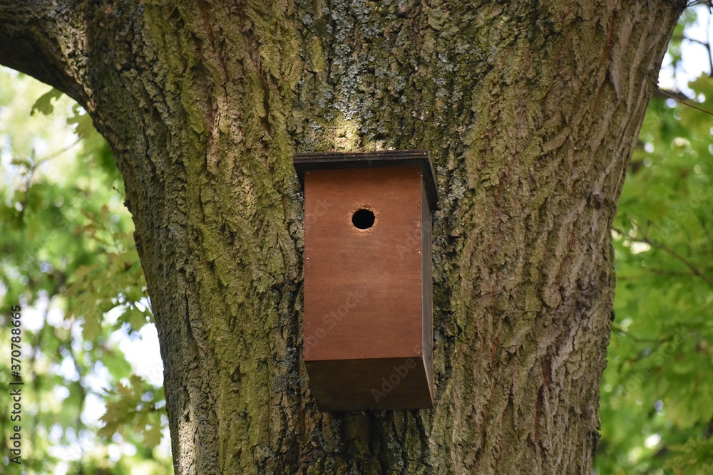Close up of a brown handmade wooden birdhouse on tree, in the park. Close up of a brown handmade wooden birdhouse on tree, in the park.