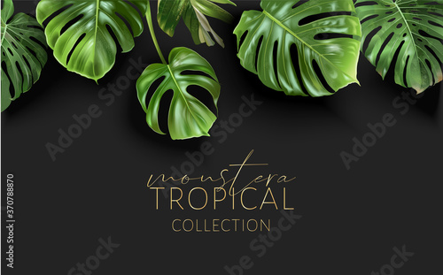 Vector tropical border with green monstera leaves on black background. Luxury exotic botanical design for cosmetics, wedding invitation, summer banner, spa, perfume, beauty, travel, packaging design