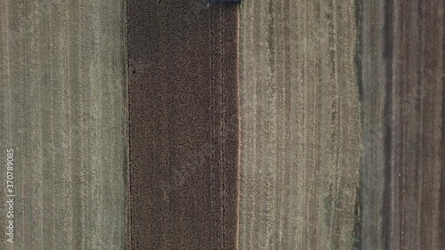 Tractor harvesting the crop - cornfield - Austria - aerial - drone shot