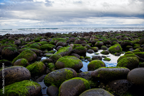 Moss covered rocks at Hvaleyri Beach in Iceland photo