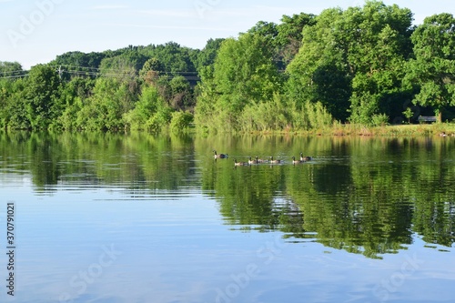 Quiet summer landscape with blue sky and reflection of lush green trees in still water