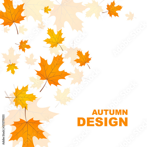 Abstract autumn background with yellow leaves of maple. Vector illustration with withered foliage.