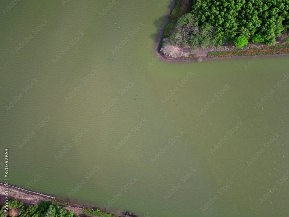 mangrove forest aerial view photography drone mangrove forest aerial view photography drone