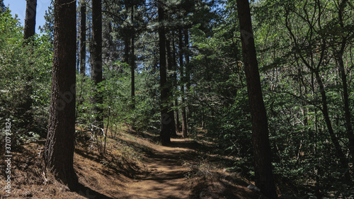 Photos California - Big Bear - August 2020 - Arboretum