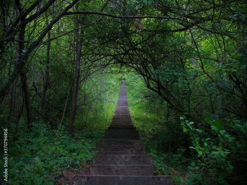 ein weg zum licht 