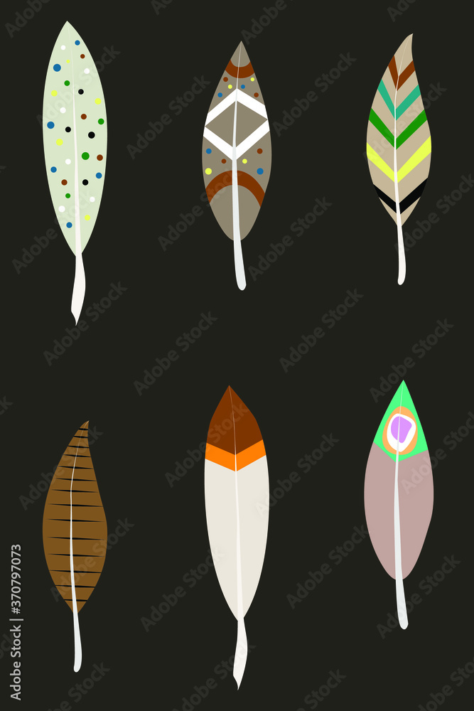 Abstract illustration of native american feathers. Several options for coloring feathers. Abstract illustration of native american feathers. Several options for coloring feathers.