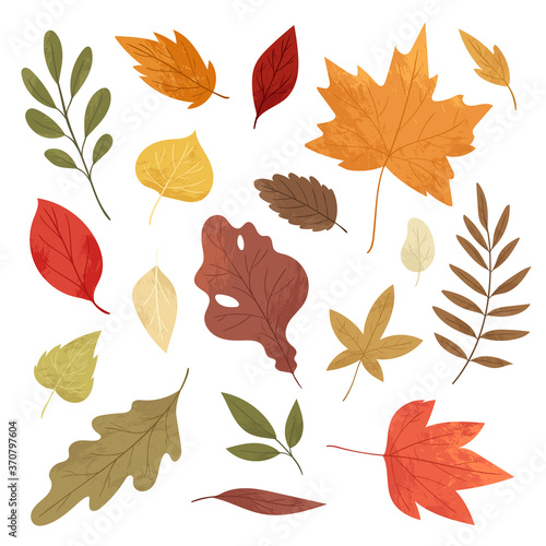 Botanical autumn collection. Seasonal set of hand drawn colorful fallen leaves  twigs  berries  acorns  forest mushrooms  tree branches. Cartoon textured vector illustration in realistic style