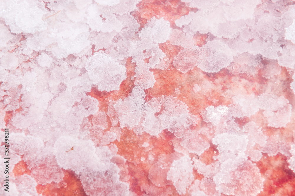 Pink salt crystals on the salt lake with clear water close up. Macro image, shallow depth of field. Abstract nature background. Sasyk-Sivash pink salt lake in Crimea.