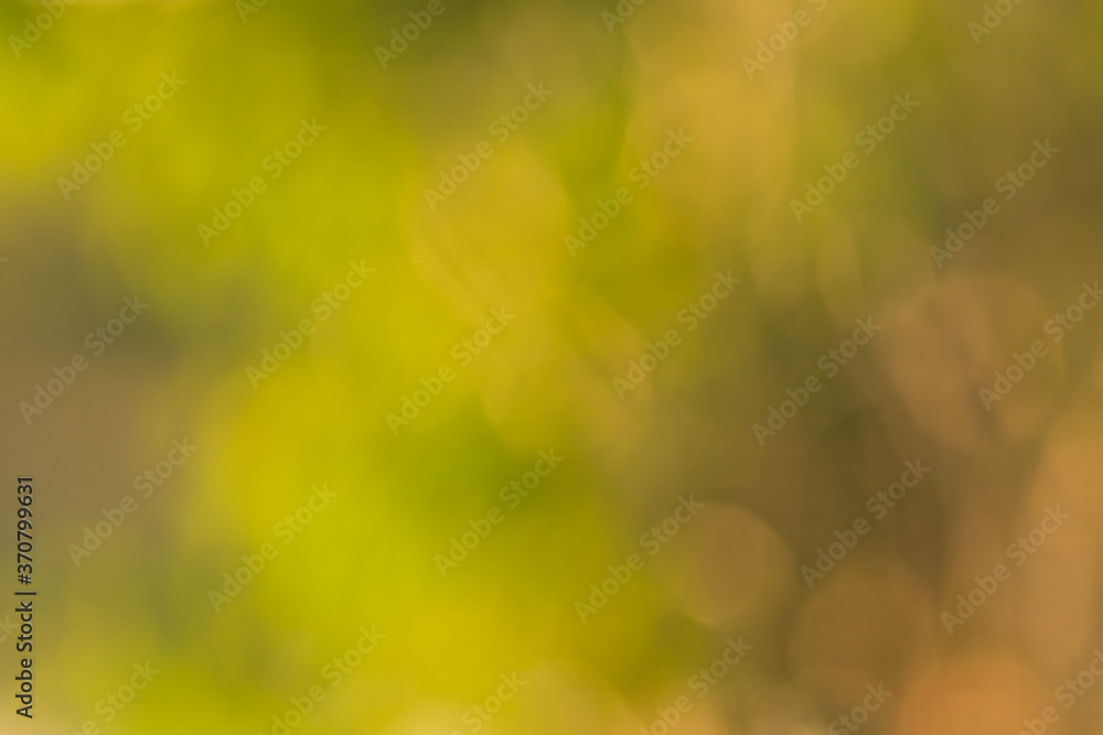 Green bokeh from nature background Green bokeh from nature background