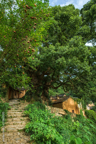 Yangjiatang old village in the middle of the mountains in Songyang County,  Zhejiang Province, China. photo