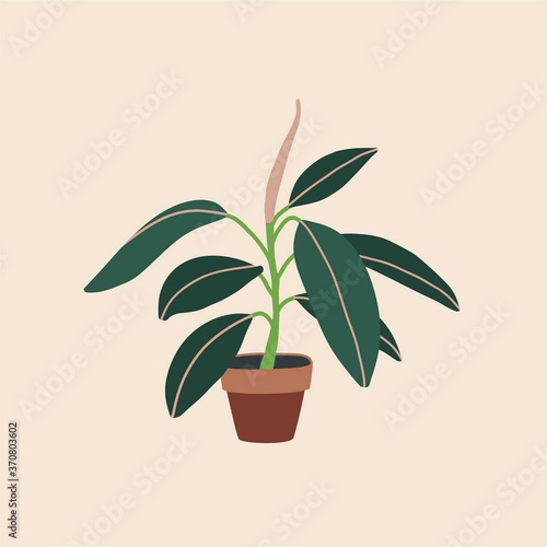 Ficus elastica in ceramic flowerpot. Houseplant isolated. Trendy hugge style, urban jungle decor. Hand drawn sketch, naive art. Print, poster, banner, wallpaper. Logo, label. Green, beige pastel color