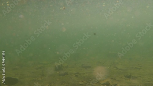Camera going underwater at Jackson Lake Grand Tetons National Park photo