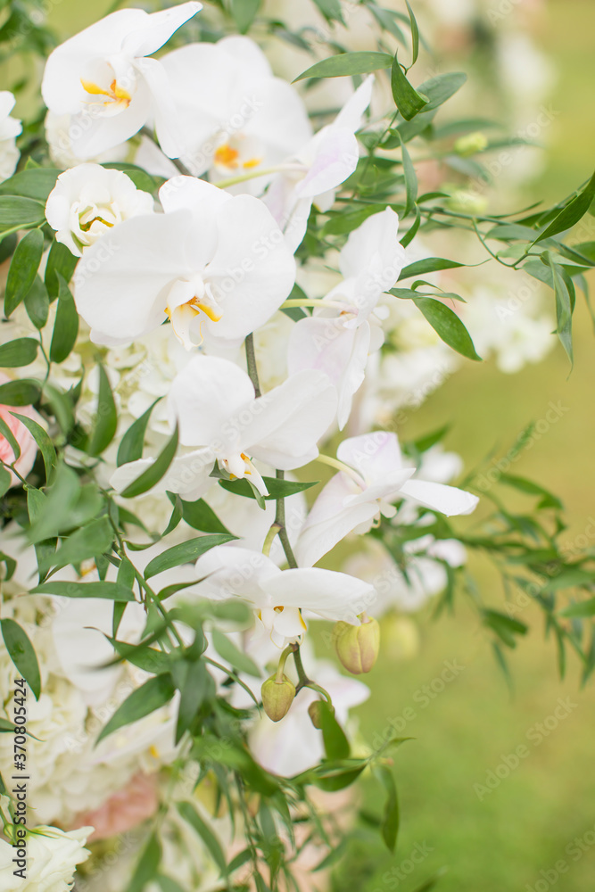Fototapeta premium Wedding Ceremony set up