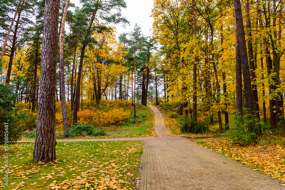 Beautiful autumn landscape. City Park in Jurmala town, Latvia