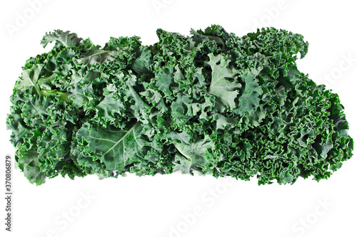 Fresh leaf of kale cabbage isolated on a white background.