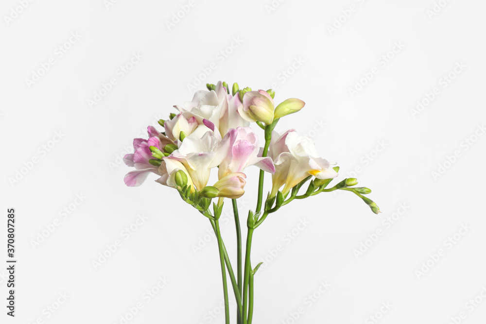 Beautiful aromatic freesia bouquet on light background Beautiful aromatic freesia bouquet on light background