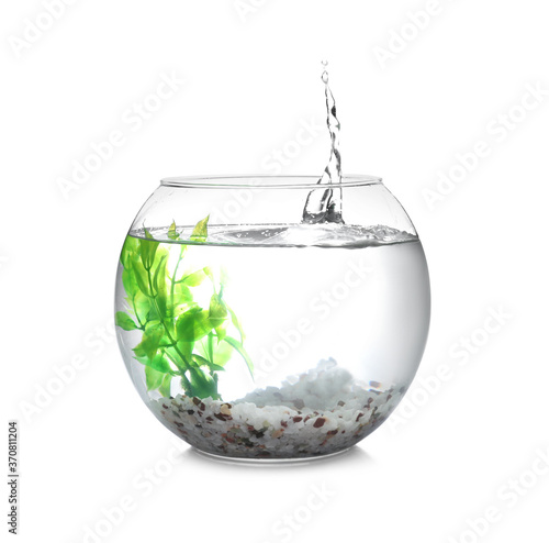 Schilderij op canvas Splash of water in round fish bowl with decorative plant and pebbles on white ba