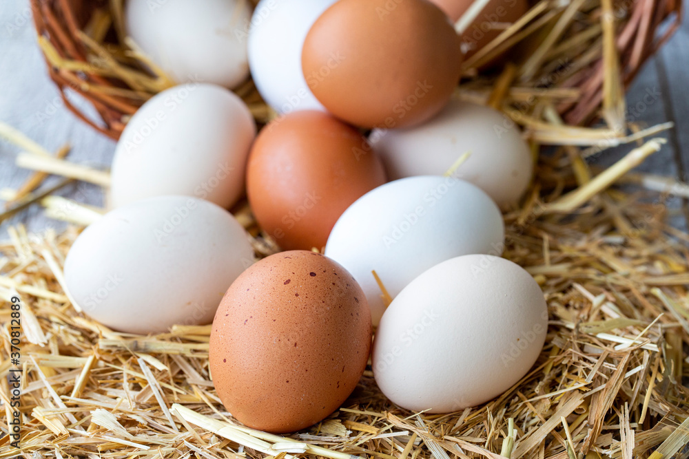 Eggs, Chicken Egg on Straw Eggs, Chicken Egg on Straw