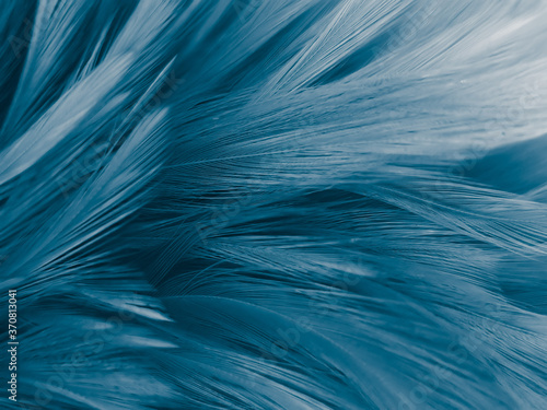 Beautiful abstract colorful white and blue feathers on white background and soft white feather texture on blue pattern and blue background  feather background  blue banners