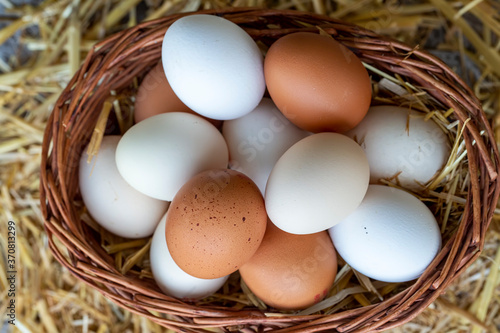 Eggs, Chicken Egg on Straw