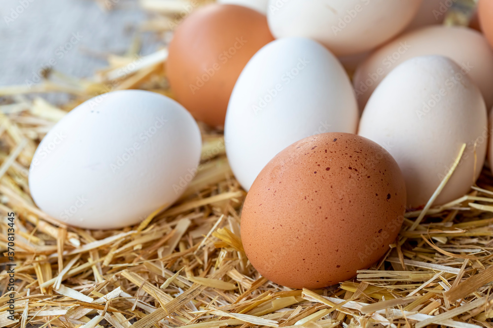 Eggs, Chicken Egg on Straw Eggs, Chicken Egg on Straw