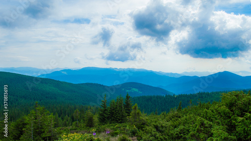 Carpathian Mountains. Panorama of green hills in summer mountain © Eugene B-sov