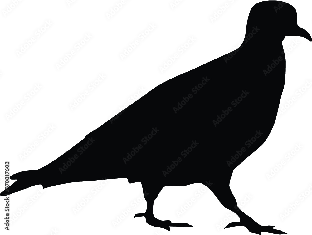Obraz premium Dove Silhouette Silhouette of a flying dove on a white background vector illustration 
