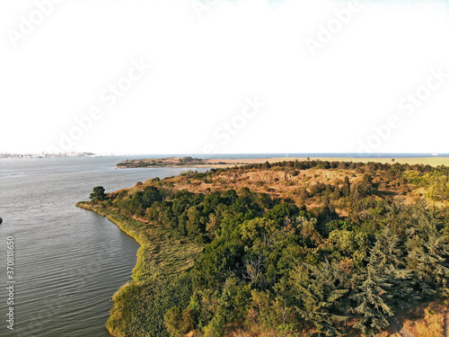 Picturesque coastline. The forest area descends to the coast of the bay along a gentle slope.