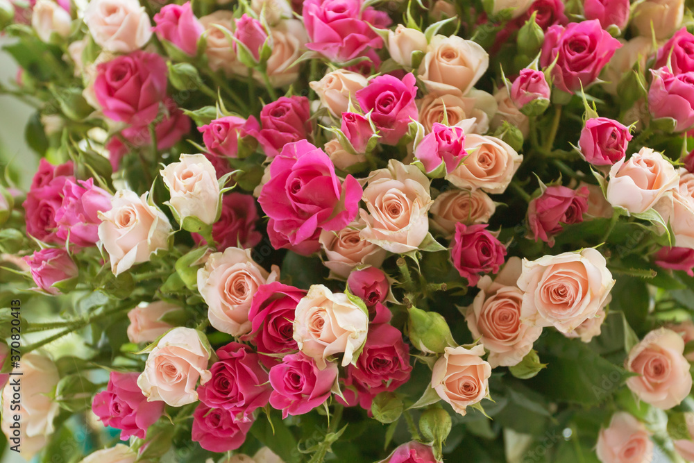 Beautiful flowers delicate fresh roses pink and white holiday background