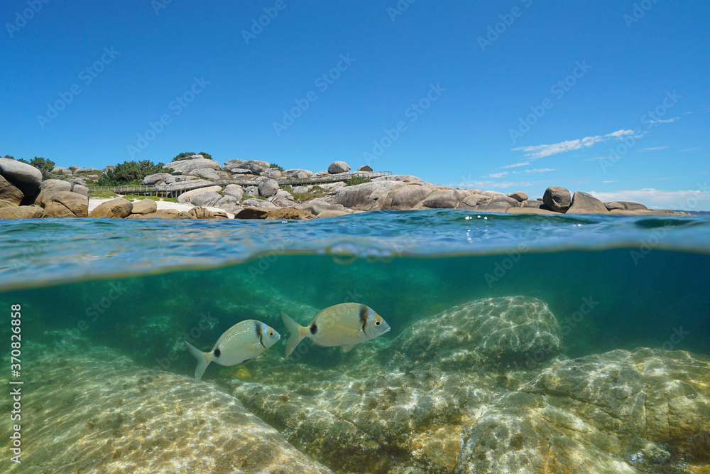 Coastline with rocks and fish underwater, Atlantic ocean, Spain, Galicia, split view over-under water surface, province of Pontevedra, San Vicente do Grove