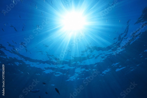 Bright sunlight underwater through water surface with some fish, natural scene, Mediterranean sea