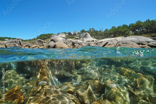 Coast with boulders and fish underwater, Atlantic ocean, Spain, Galicia, split view over-under water surface, province of Pontevedra, San Vicente do Grove