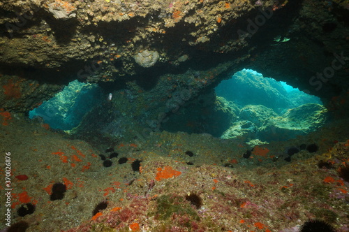 Openings inside a sea cave underwater in the Mediterranean sea  Spain  Costa Brava  Catalonia