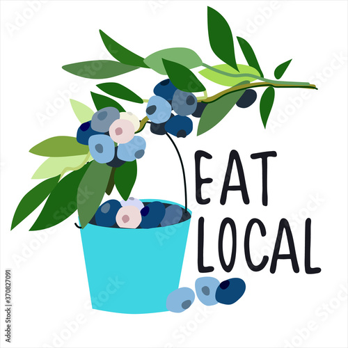 Eat local concept. Harvesting concept. Pick-your-own concept. Blueberries and bucket vector illustration in abstract flat style. Hand lettering