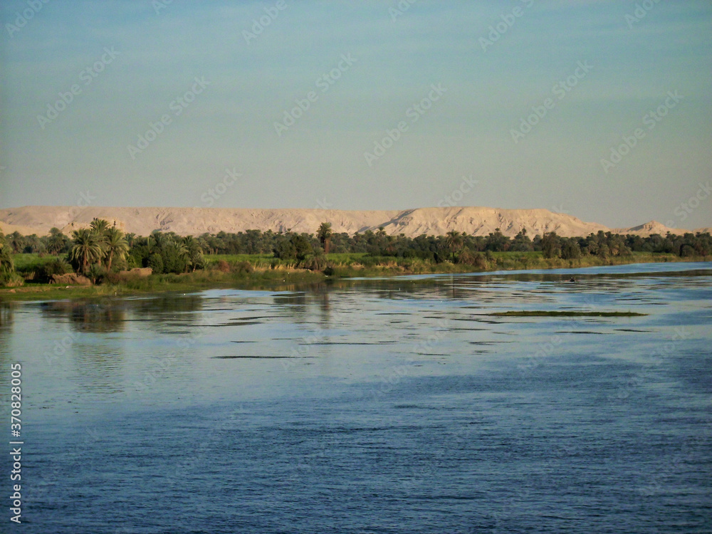 Oasis with palm trees on the bank of the Nile in Egypt, Africa