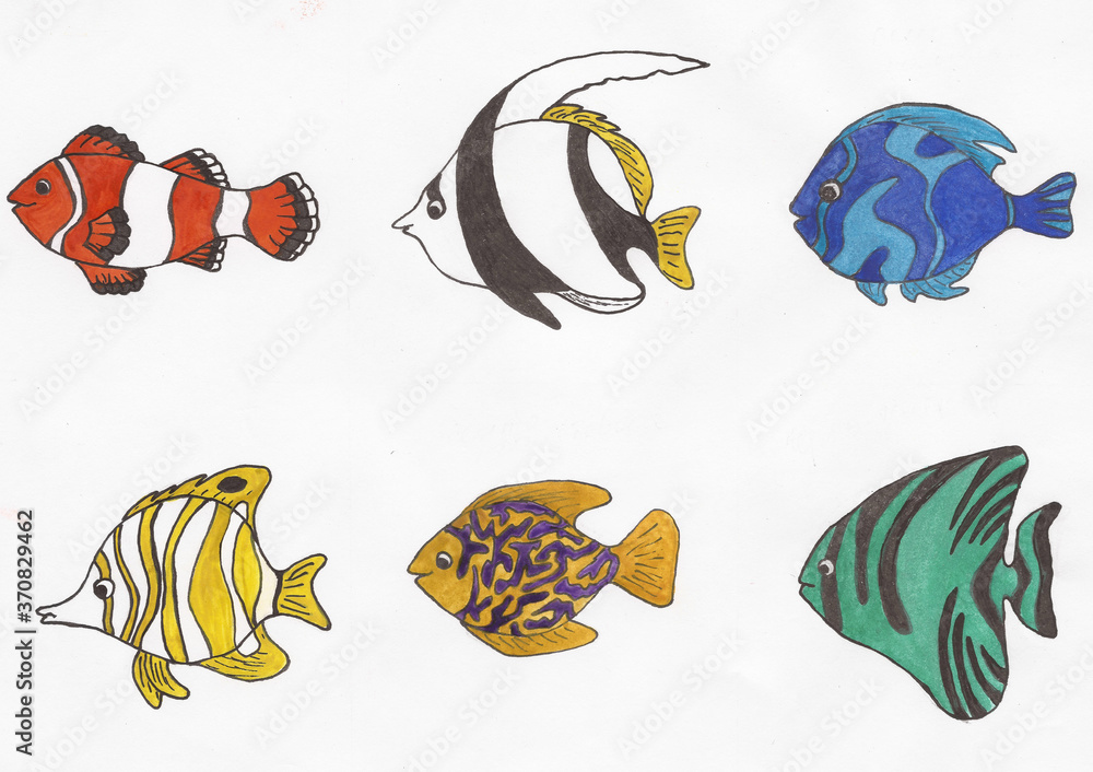 Naklejka premium Colored tropical fish set. Bright hand drawn illustration. Versatile and vibrant illusion that is suitable for printing on clothing and gift items and postcards.
