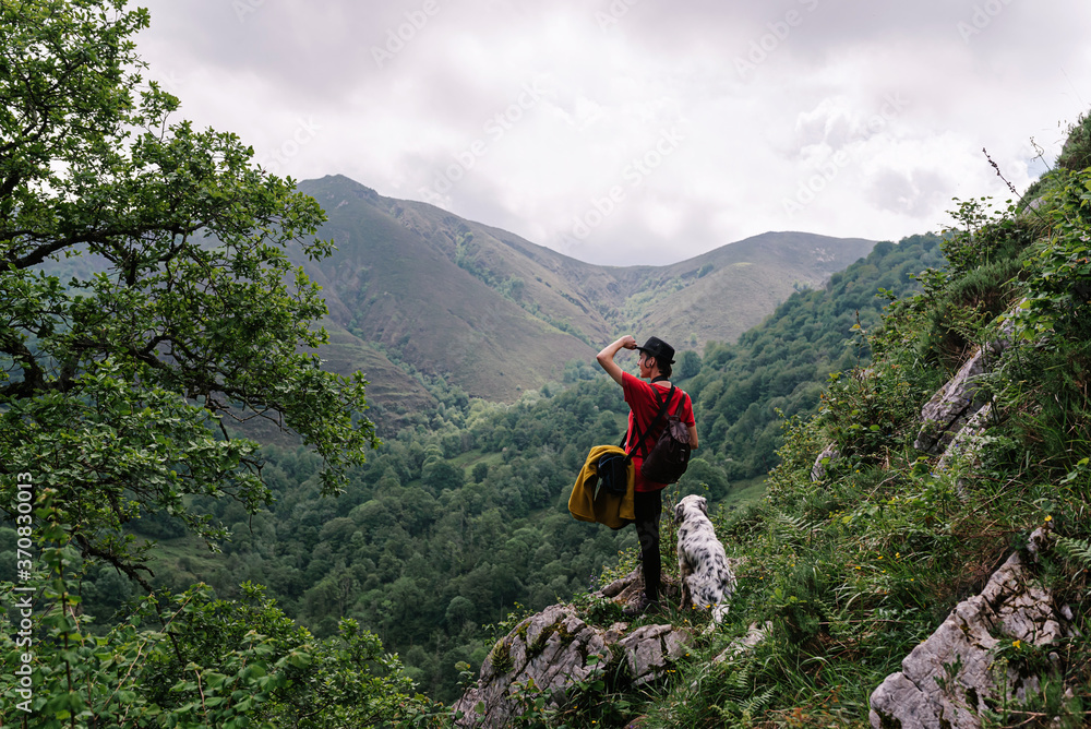 Back view female tourist doing hiking in countryside and admiring scenery of mountainous valley with english setter dog Back view female tourist doing hiking in countryside and admiring scenery of mountainous valley with english setter dog