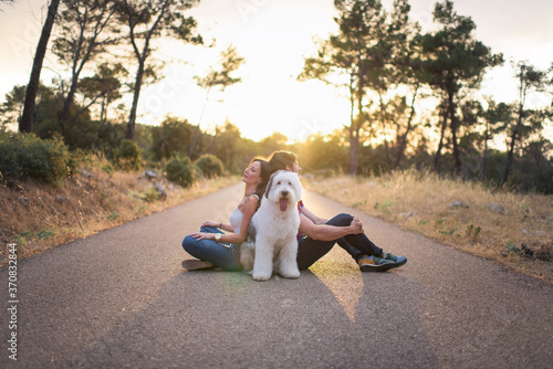 Wallpaper Mural Side view of serene girlfriend and boyfriend sitting back to back on roadway with Old English Sheepdog and enjoying amazing sunset in summer Torontodigital.ca