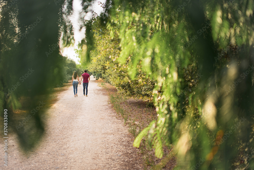 Back view of unrecognizable happy couple holding hands while walking in garden on sunny day Back view of unrecognizable happy couple holding hands while walking in garden on sunny day