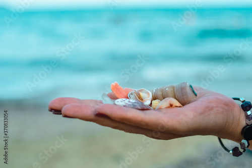 Seashells lie in the hands of a woman. Blurred marine background. Travel concept