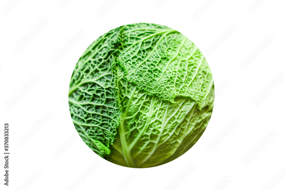 savoy cabbage raw fresh green vegetable harvest organic natural product ingredient eating healthy keto or paleo diet savoy cabbage raw fresh green vegetable harvest organic natural product ingredient eating healthy keto or paleo diet