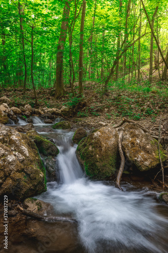 River in the forest, Slovakia