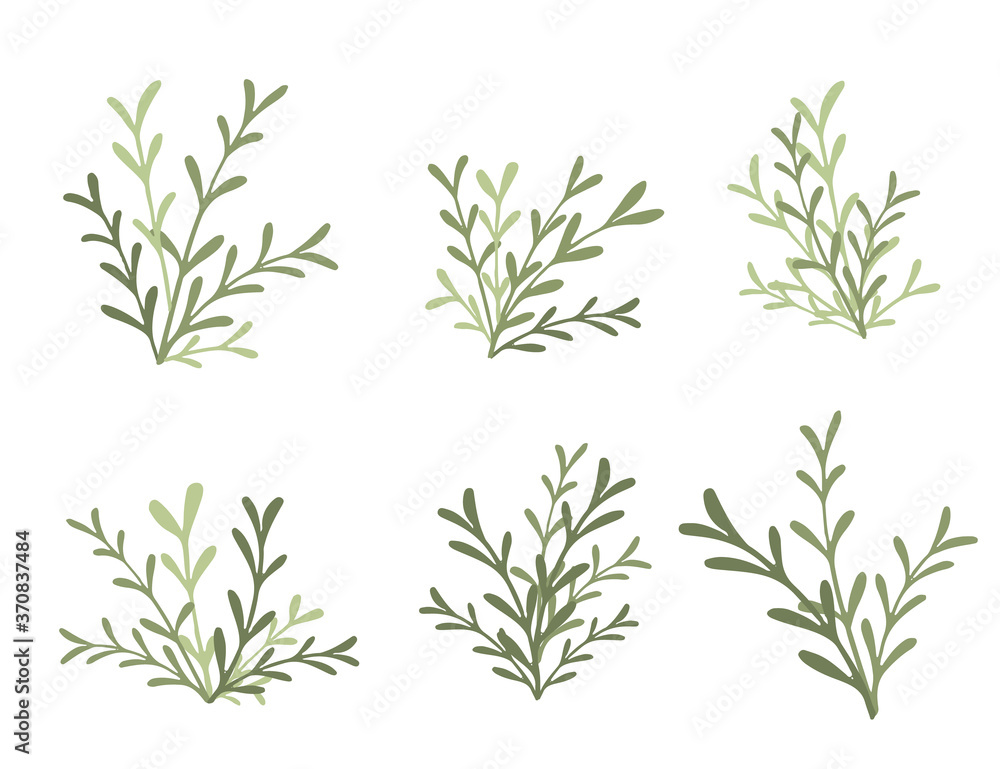 Fototapeta premium Zestaw zielonych gałęzi z liści płaskich ilustracji wektorowych na białym tle
